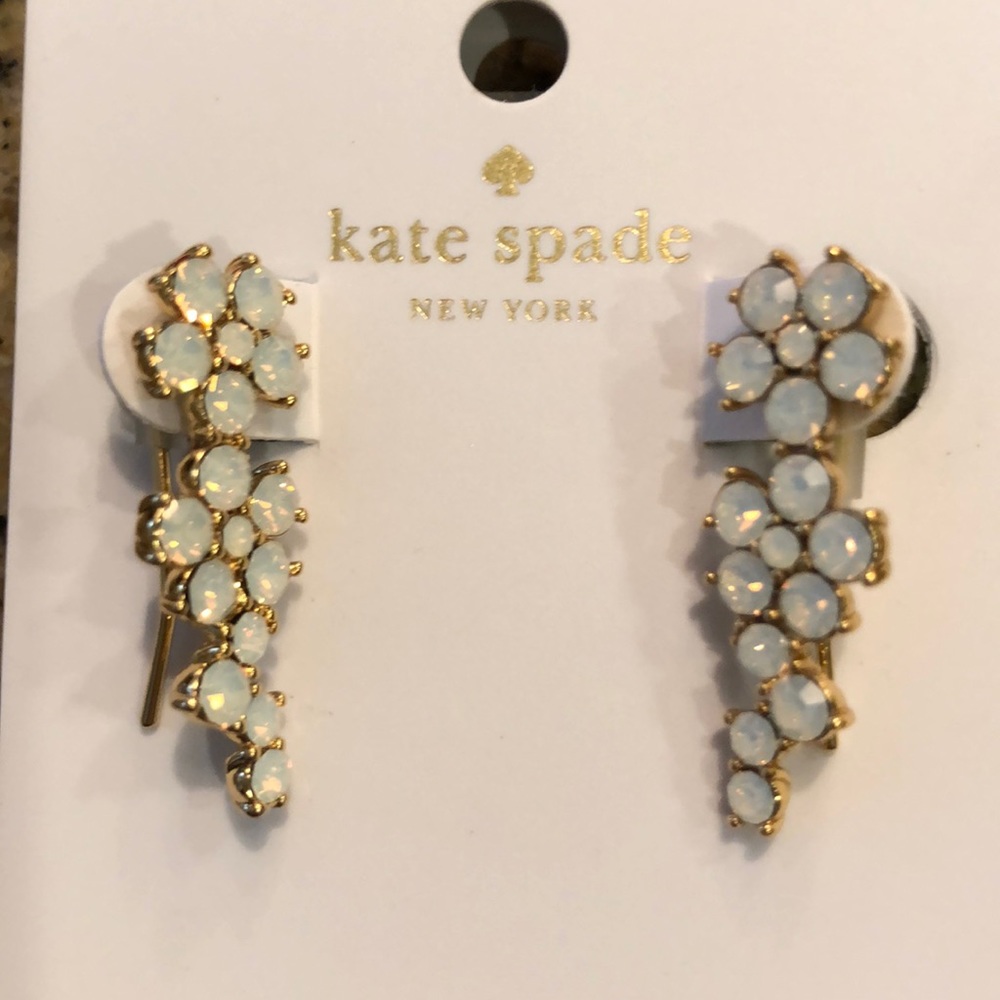 Kate Spade Earrings